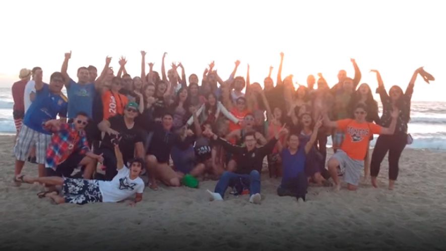 Harlem Shake – video